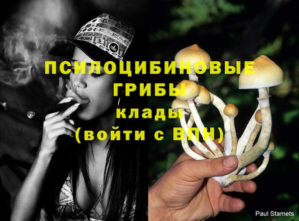 мяу мяу мука Армянск