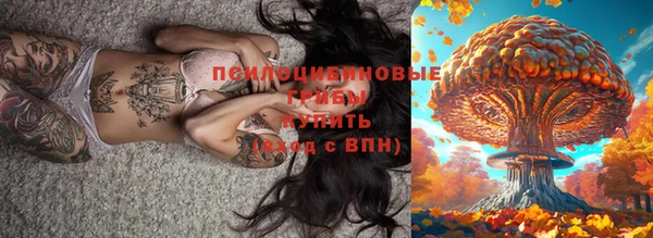 метадон Арсеньев