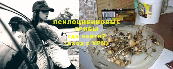 мяу мяу мука Армянск