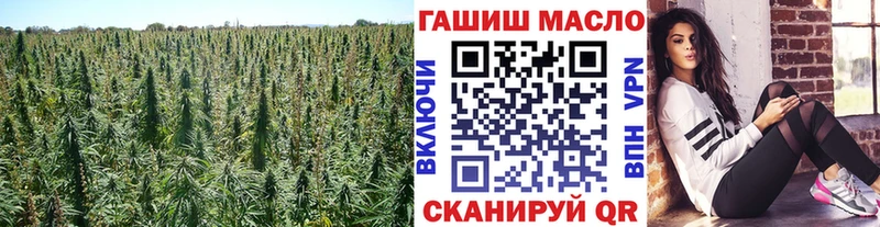 Купить  Углегорск  Дистиллят ТГК гашишное масло 