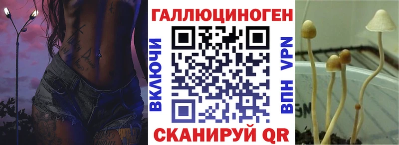 Купить  Углегорск  Псилоцибиновые грибы GOLDEN TEACHER 